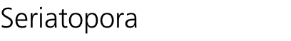 Seriatopora
