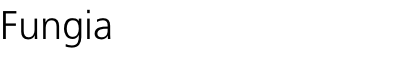 Fungia

